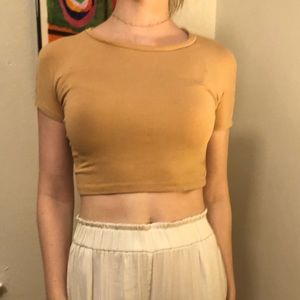 ZARA Tan Crop Top
